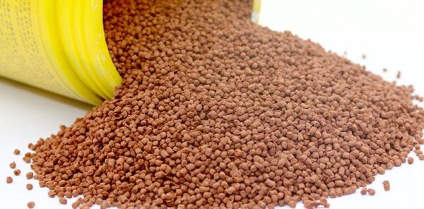 Fish Feed