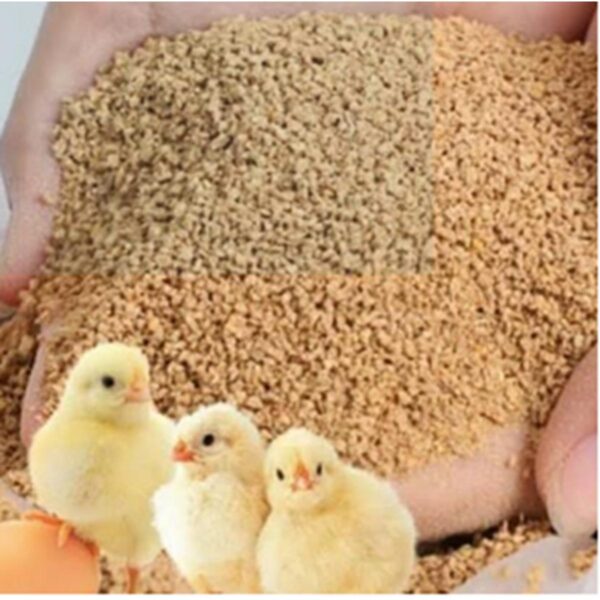 Chick Feed