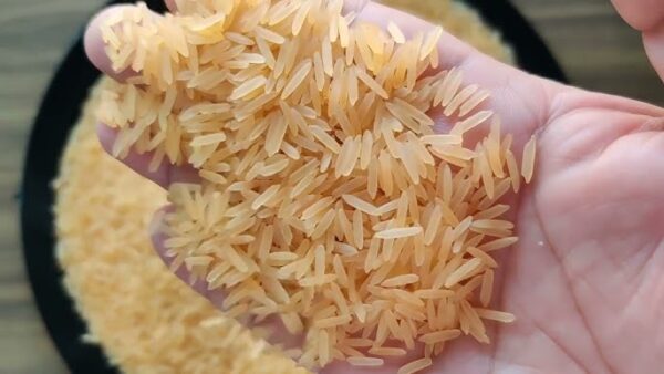 1121 Basmati Golden
