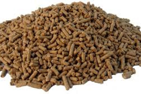 Horse Feed