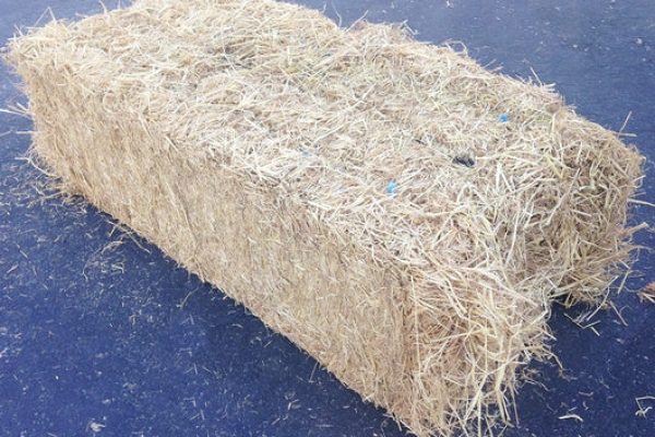 Rice Straw