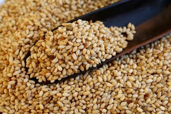 Sesame-seeds